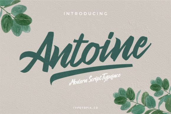 Antoine: A Stylish Script Font for Elegant Branding