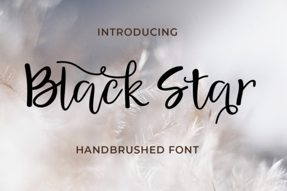 Black Star: A Handwritten Font for Editorial Elegance