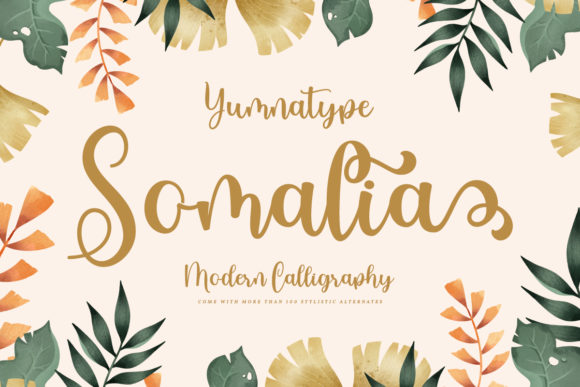 Bring Elegance to Your Creations with Somalia Font