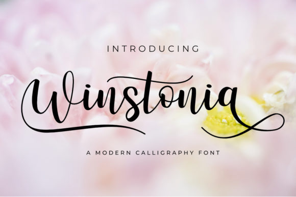 Discover Winstonia: A Handwritten Font for Elegant Publishing